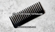 Titanyum Tarak Faydaları