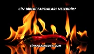 Cin Biberi Faydaları Nelerdir?