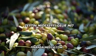 Zeytin Mideye İyi Gelir mi?