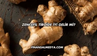 Zencefil Tiroide İyi Gelir mi?