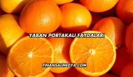 Yaban Portakalı Faydaları
