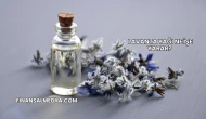 Lavanta Yağı Ne İşe Yarar?