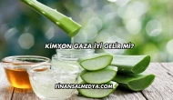 Aloe Vera Sivilceye İyi Gelir mi?