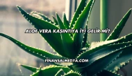 Aloe Vera Kaşıntıya İyi Gelir mi?