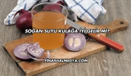 Soğan Suyu Kulağa İyi Gelir mi?