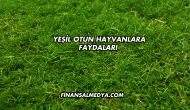 Yeşil Otun Hayvanlara Faydaları