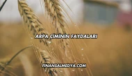 Arpa Çiminin Faydaları