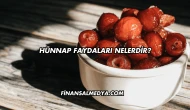 Hünnap Faydaları Nelerdir?