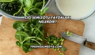 Çiğ Semizotu Faydaları Nelerdir?