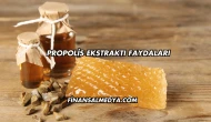 Propolis Ekstraktı Faydaları