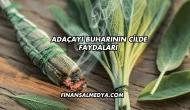 Adaçayı Buharının Cilde Faydaları
