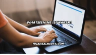 Whatseen Ne İşe Yarar?
