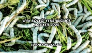 İpek Böceği Yetiştiriciliği Maliyeti 2025