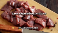 Dana Karaciğerin Faydaları