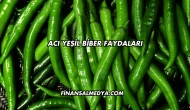 Acı Yeşil Biber Faydaları