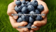 Blueberry Meyvesi Faydaları