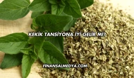Kekik Tansiyona İyi Gelir mi?