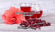 Amber Çiçeği Faydaları Nelerdir?