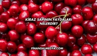 Kiraz Sapının Faydaları Nelerdir?
