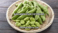 Baklanın Cilde Faydaları