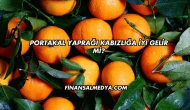 Portakal Yaprağı Kabızlığa İyi Gelir mi?