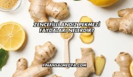 Zencefilli Andız Pekmezi Faydaları Nelerdir?