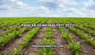Pancar Ekimi Maliyeti 2025