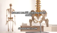 Kuyruk Kemiği Ağrısına Ne İyi Gelir?