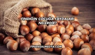 Fındığın Çocuğa Faydaları Nelerdir?