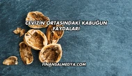 Cevizin Ortasındaki Kabuğun Faydaları