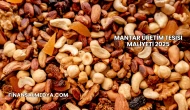 Mantar Üretim Tesisi Maliyeti 2025