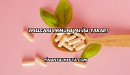 Wellcare Immune Ne İşe Yarar?