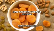 Kuru Kayısının Faydaları Nelerdir?