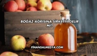 Boğaz Ağrısına Sirke İyi Gelir mi?