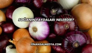 Soğanın Faydaları Nelerdir?