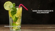 Nane Limon Hamilelikte Kullanılır mı?