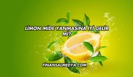 Limon Mide Yanmasına İyi Gelir mi?