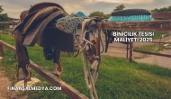 Binicilik Tesisi Maliyeti 2025