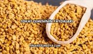 Tokat Çemeninin Faydaları