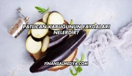 Patlıcan Kabuğunun Faydaları Nelerdir?