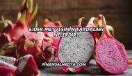 Ejder Meyvesinin Faydaları Nelerdir?