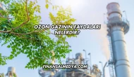 Ozon Gazının Faydaları Nelerdir?