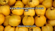 Ayva Mide Bulantısına İyi Gelir mi?