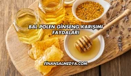 Bal Polen Ginseng Karışımı Faydaları