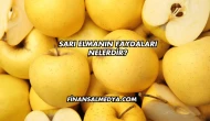 Sarı Elmanın Faydaları Nelerdir?