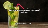 Mide Bulantısına Nane Limon İyi Gelir mi?