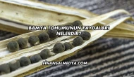 Bamya Tohumunun Faydaları Nelerdir?