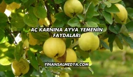 Aç Karnına Ayva Yemenin Faydaları
