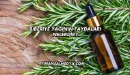 Biberiye Yağının Faydaları Nelerdir?