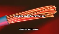 Bakırın Sağlığa Faydaları
